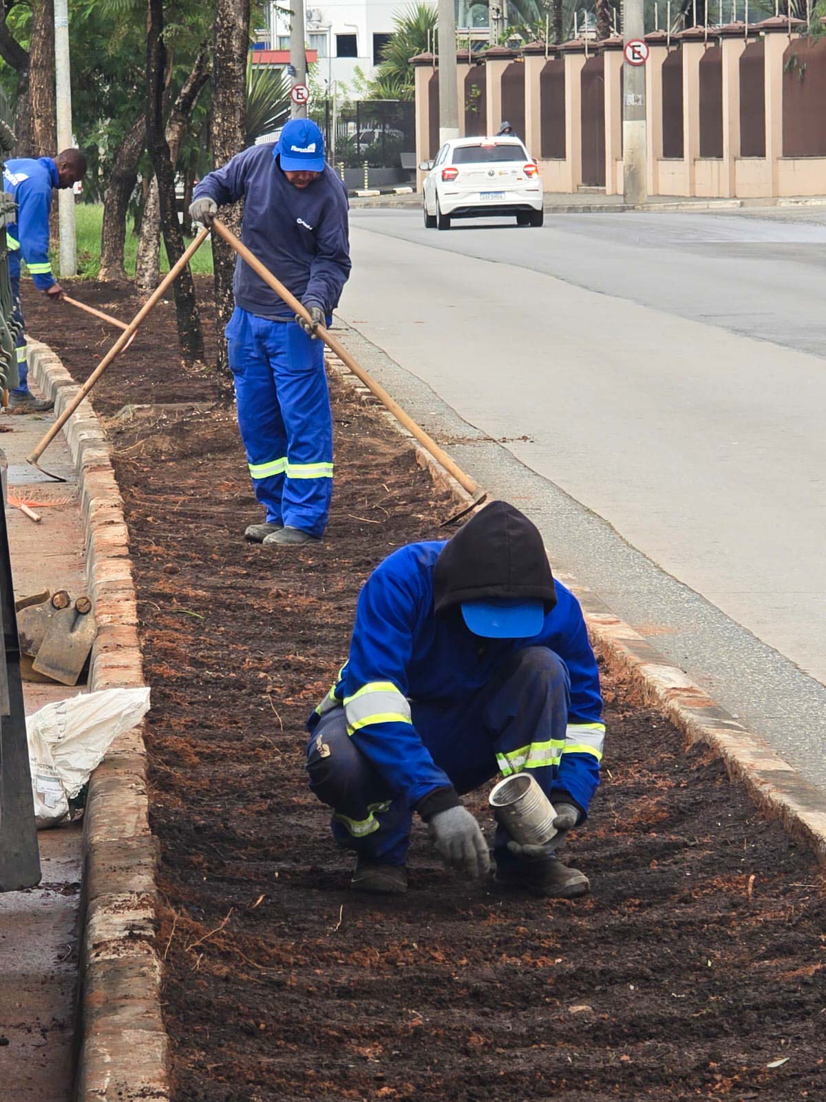 Prefeitura inicia o plantio de nova vegetação em canteiro central da avenida Natália Zarif