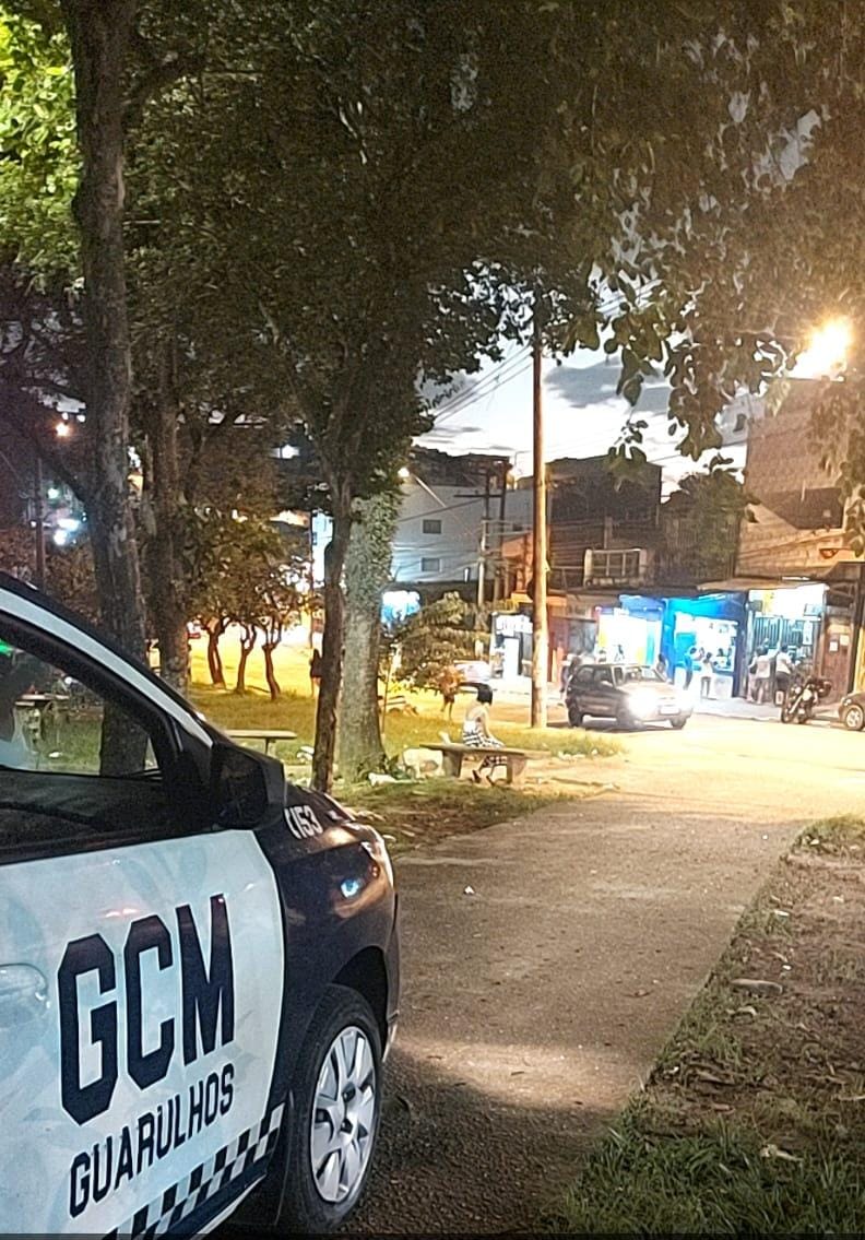 GCM volta a fiscalizar bares na Rua Tapajós após denúncias de perturbação  ao sossego - GRU Diário