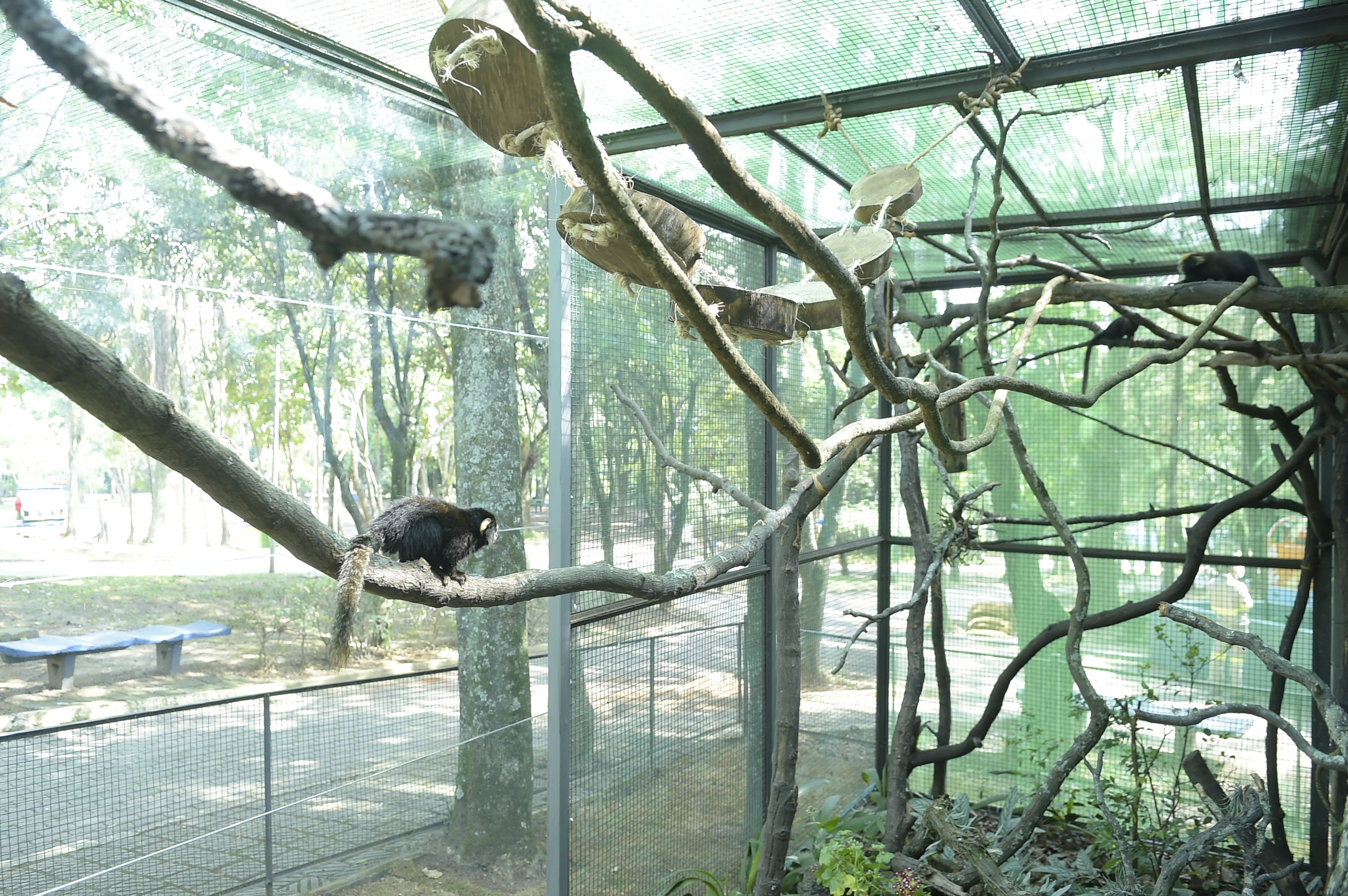 Zoológico Municipal de Guarulhos - ZooChat