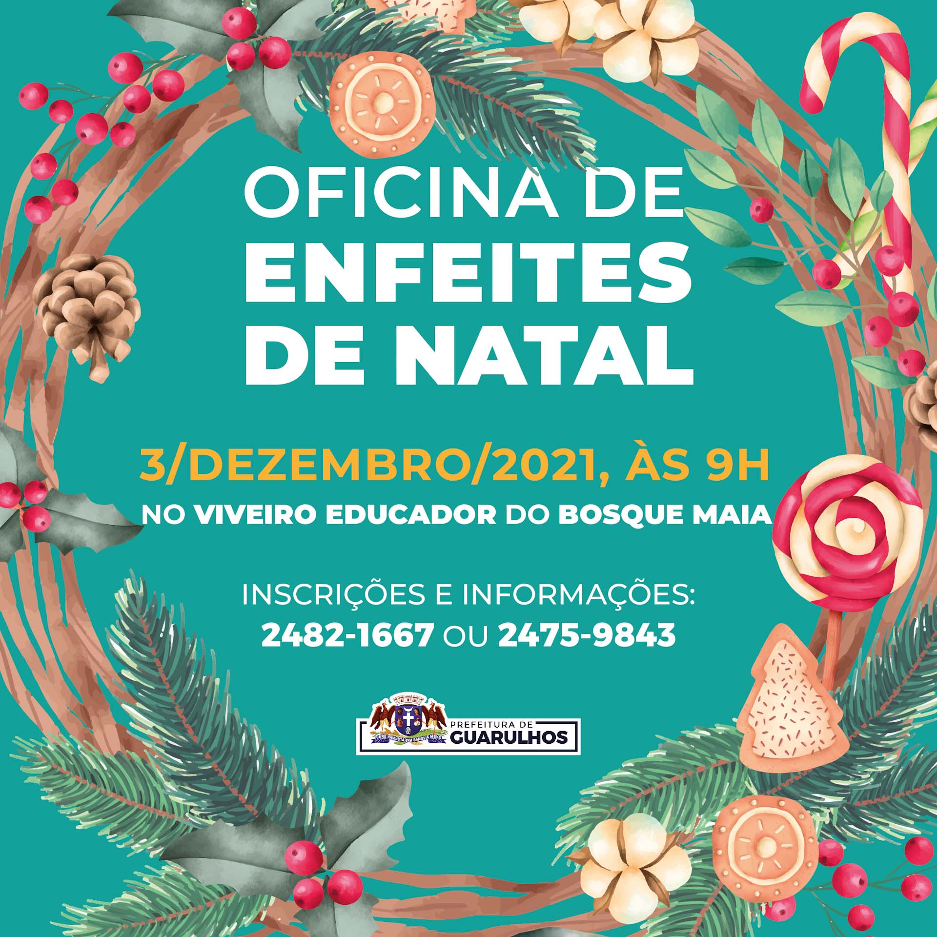 Criação de enfeites de Natal sustentáveis terá oficina especial no Bosque  Maia | Prefeitura de Guarulhos
