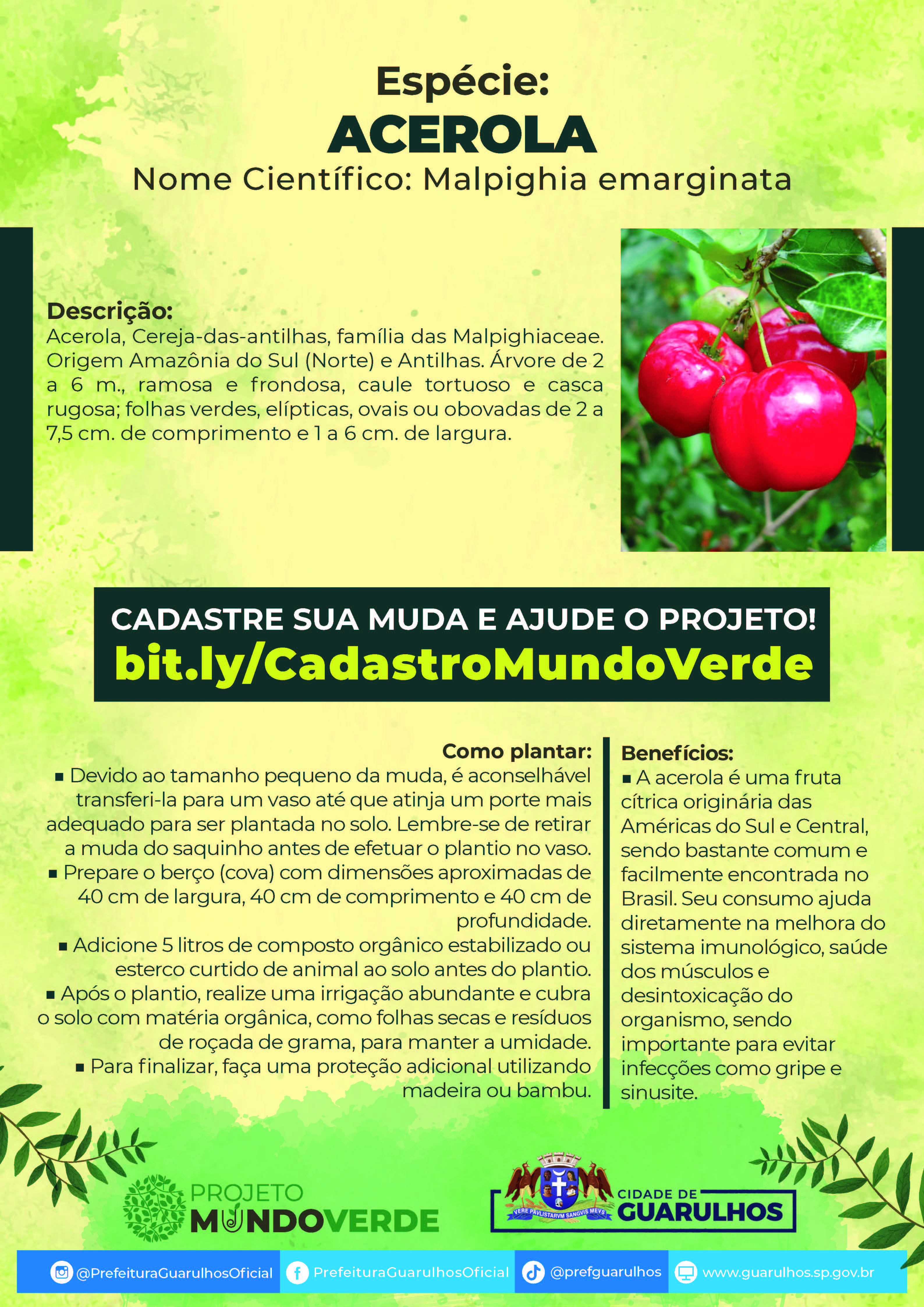 FOLHETO_A4_ACEROLA_Página_1