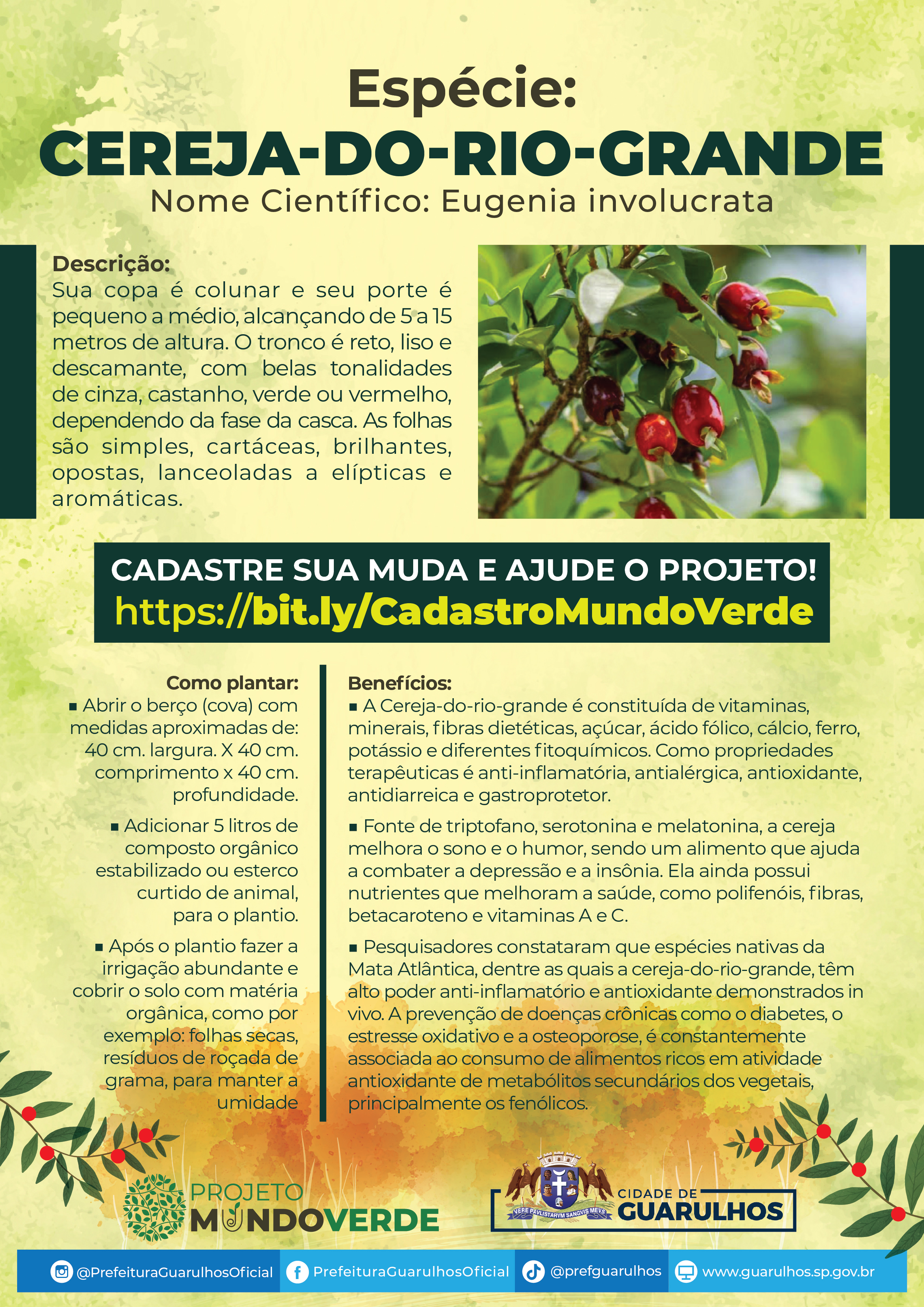 Cereja do Rio Grande