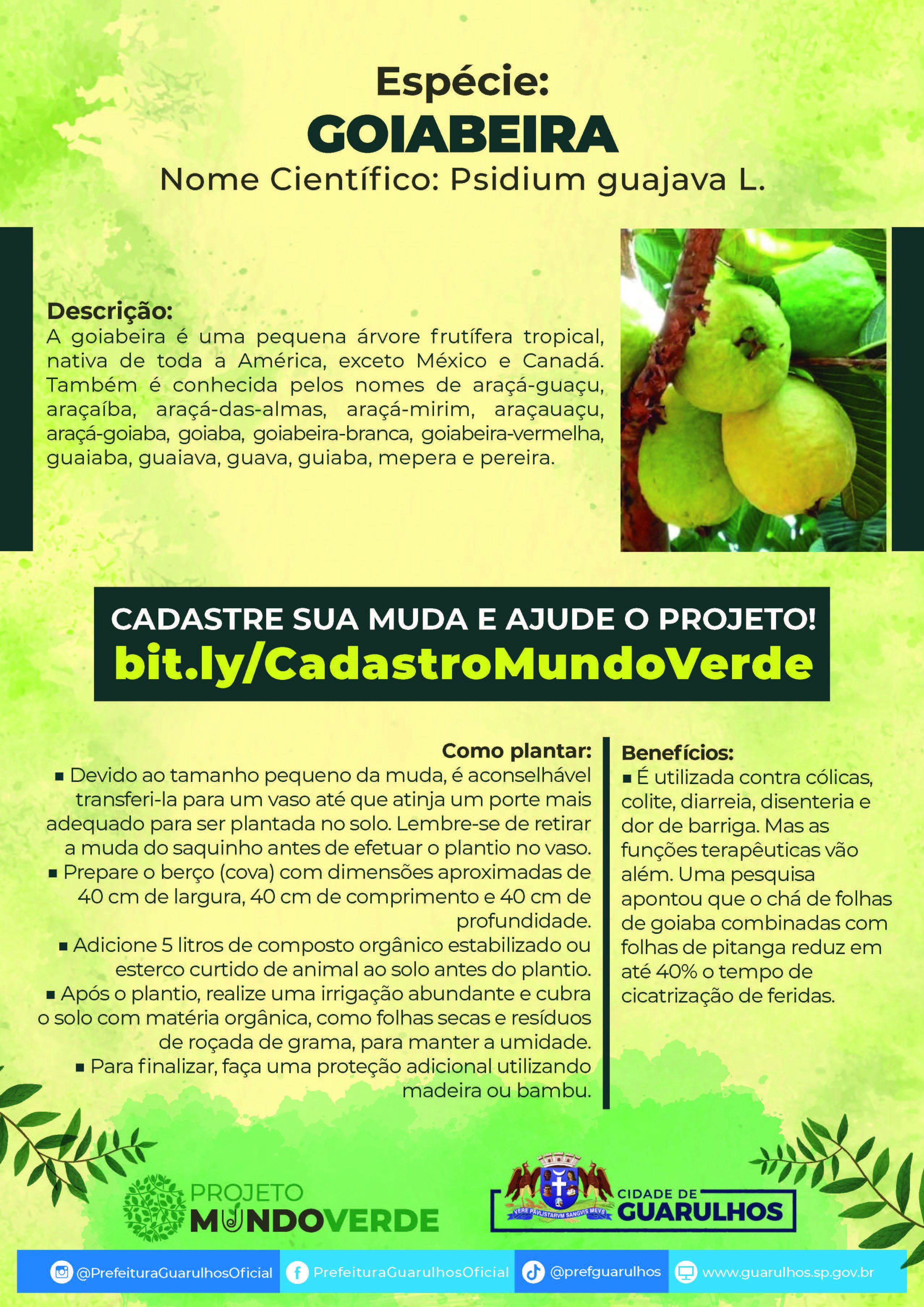 FOLHETO_A4_GOIABEIRA_Página_1