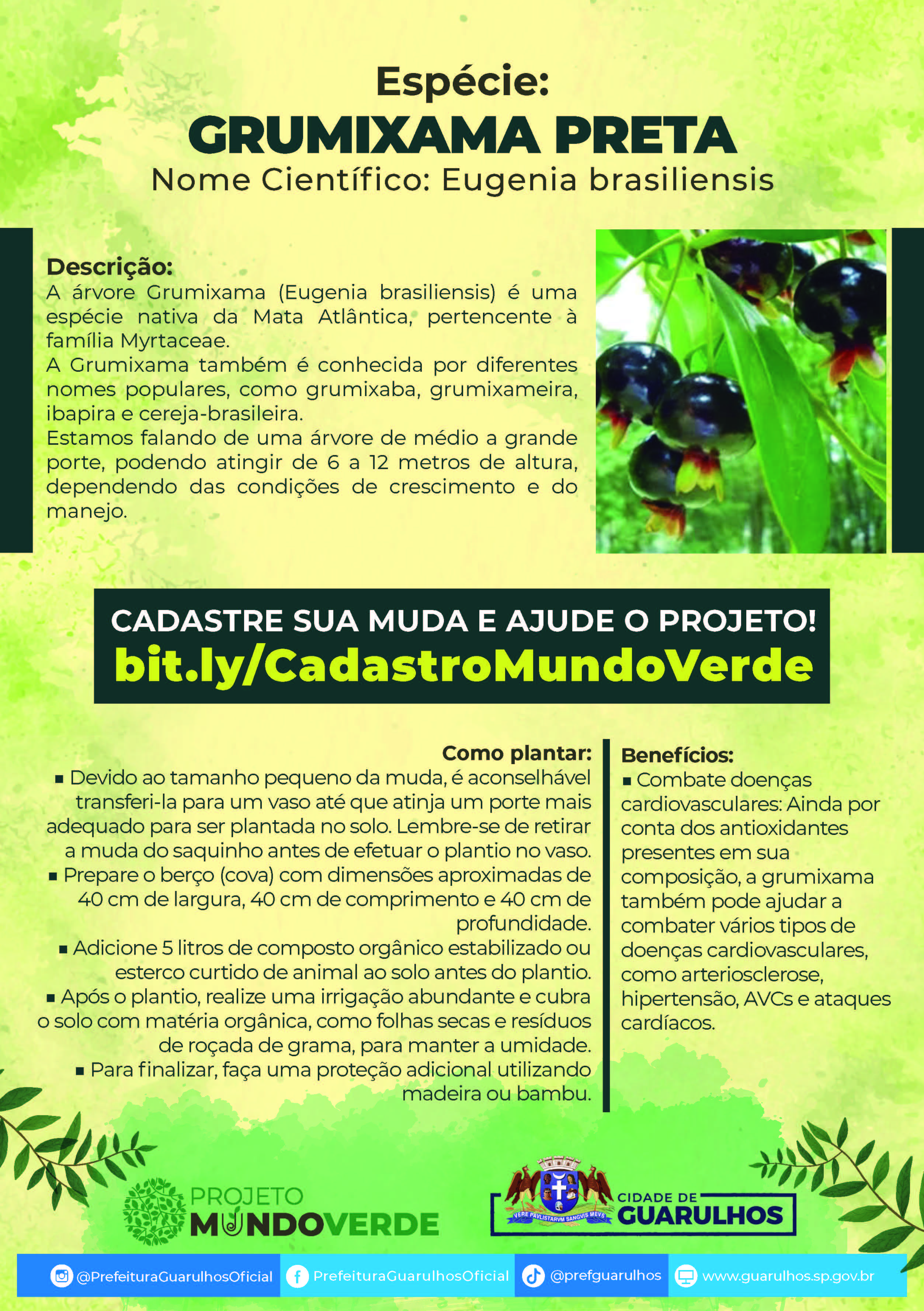 FOLHETO_A4_GRUMIXAMA_PRETA