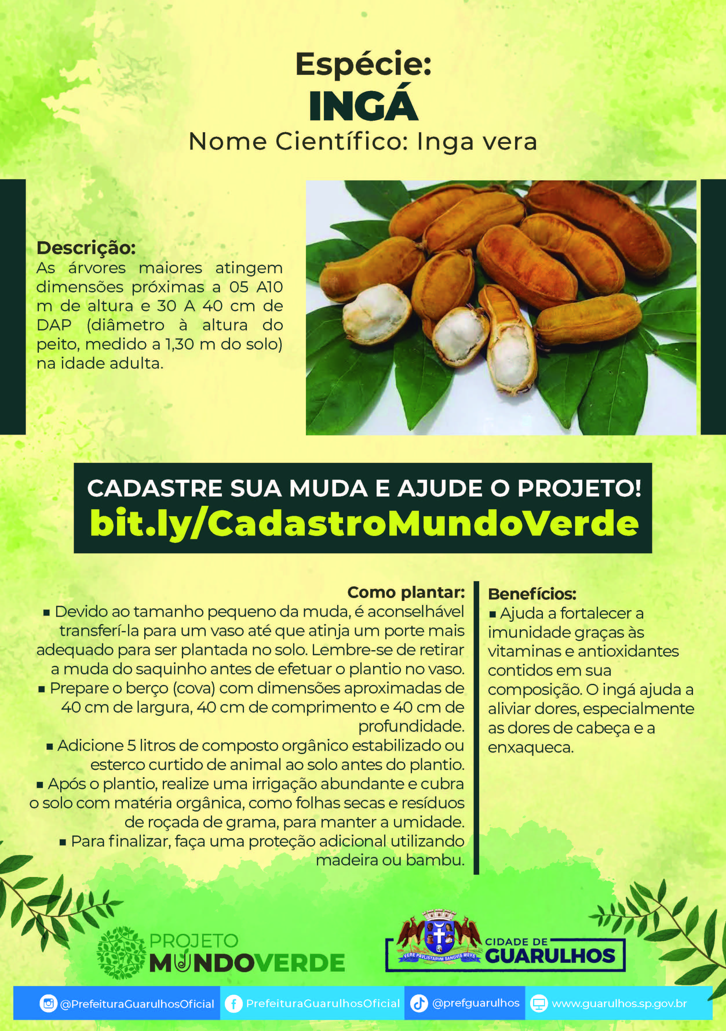 FOLHETO_A4_INGA_Página_1