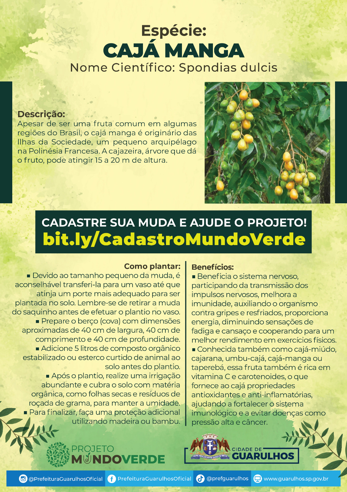 Imagem do WhatsApp de 2024-05-13 à(s) 10.25.32_c7b6797e