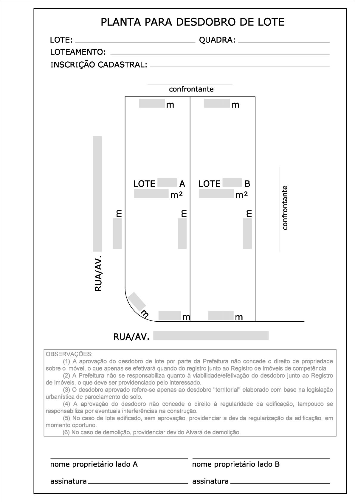 modelo 06