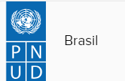 Programa de Voluntários das Nações Unidas