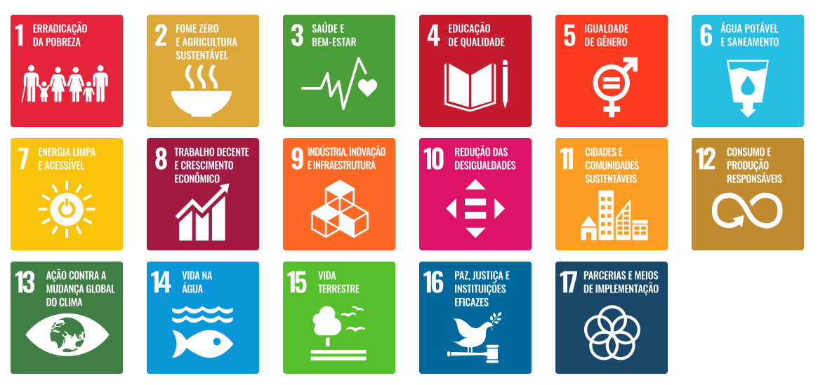 O Voluntário e os Objetivos Sustentáveis da ONU