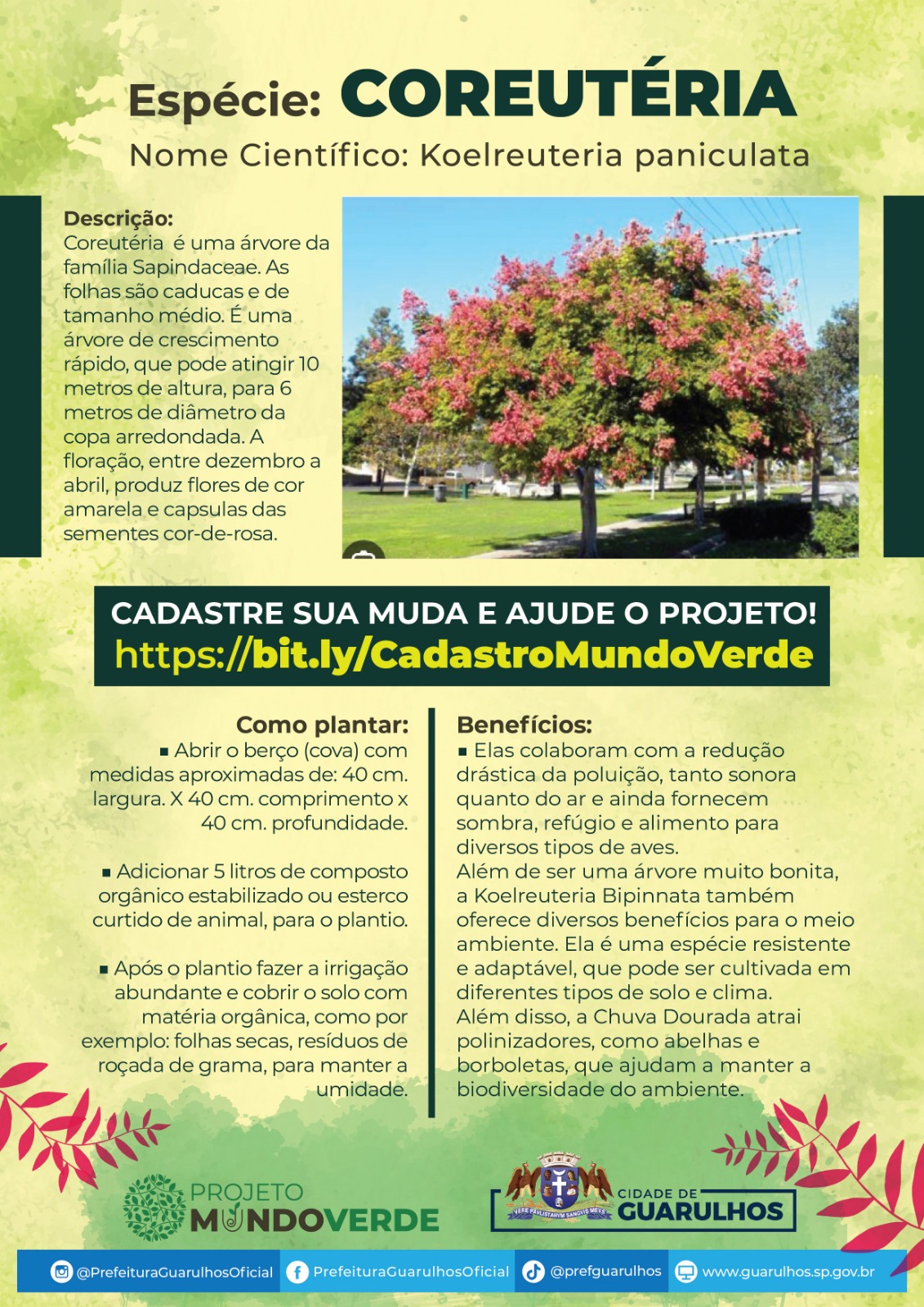 Coreutéria_Mundo_Verde