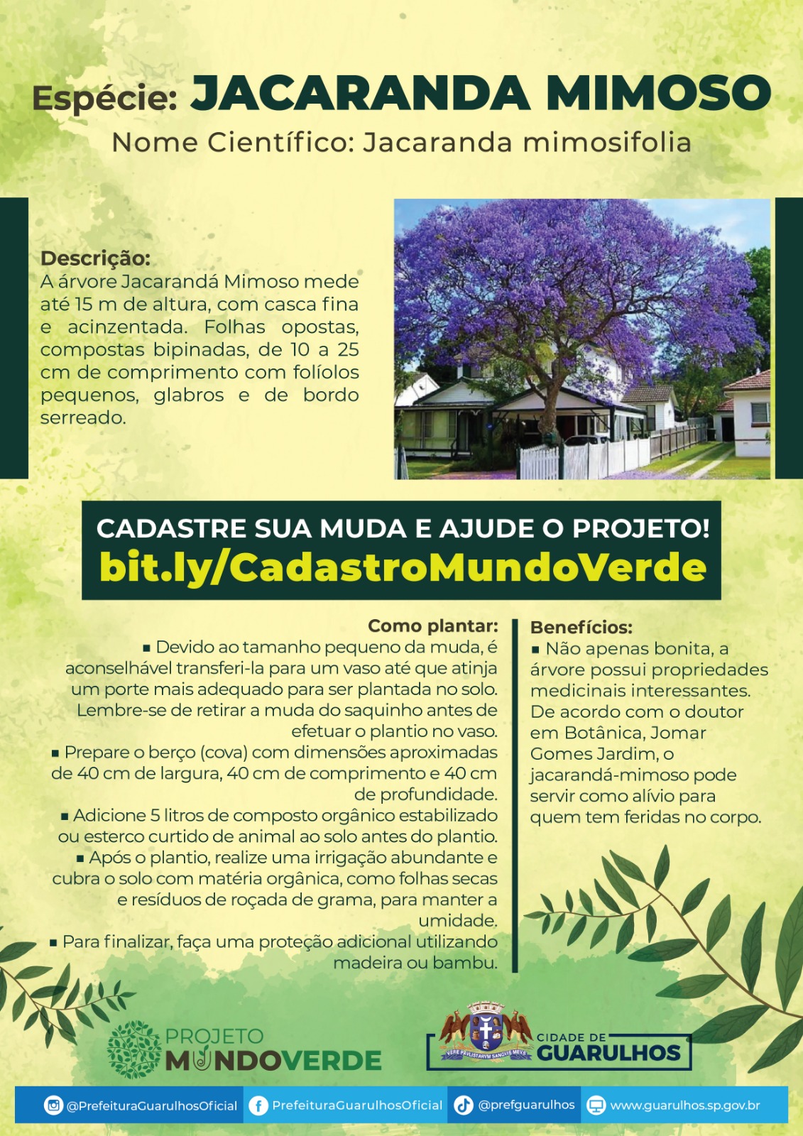 Jacaranda Minoso - Pag01
