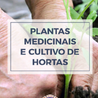 plantas medicinais cartilha