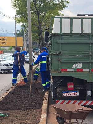 Prefeitura inicia o plantio de nova vegetação em canteiro central da avenida Natália Zarif