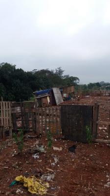 Baquiviru - Presidente Dutra